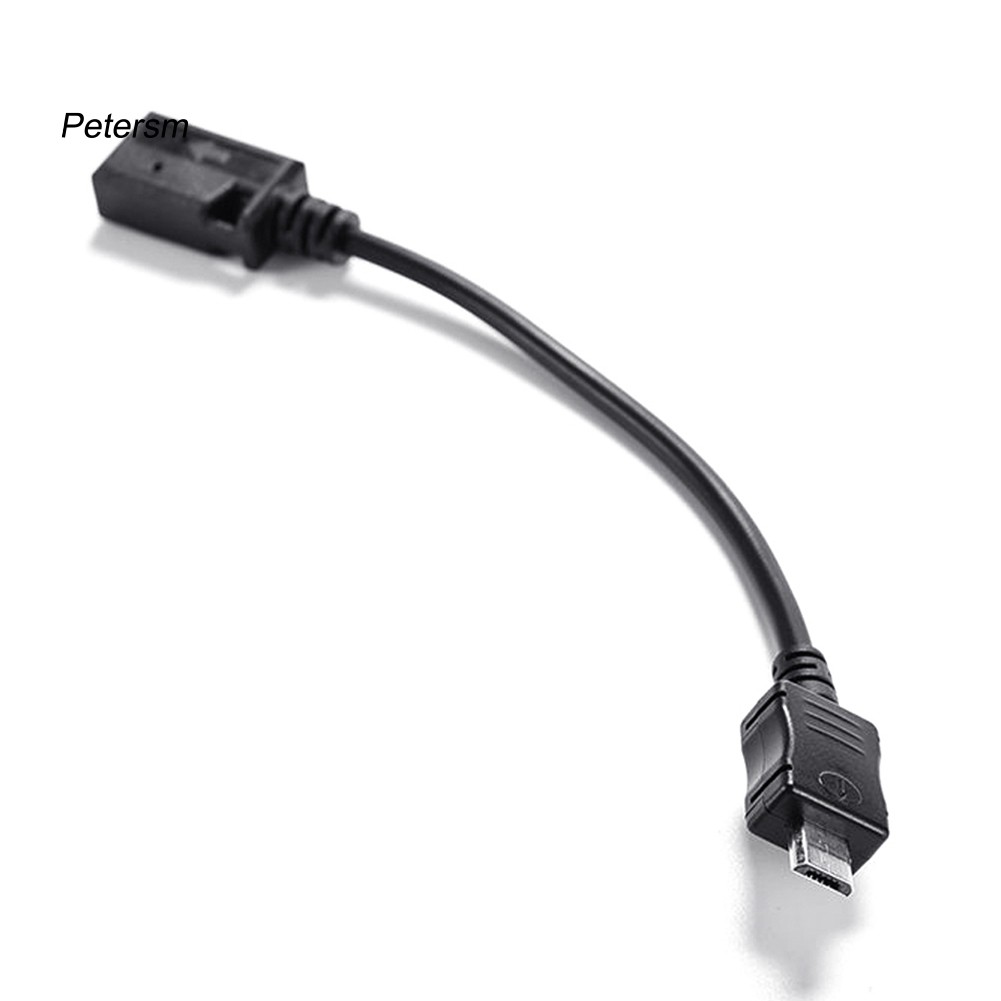 Bộ 2 Đầu Chuyển Đổi Từ Cổng Micro Usb Đực Sang Đầu Cái 5 Pin