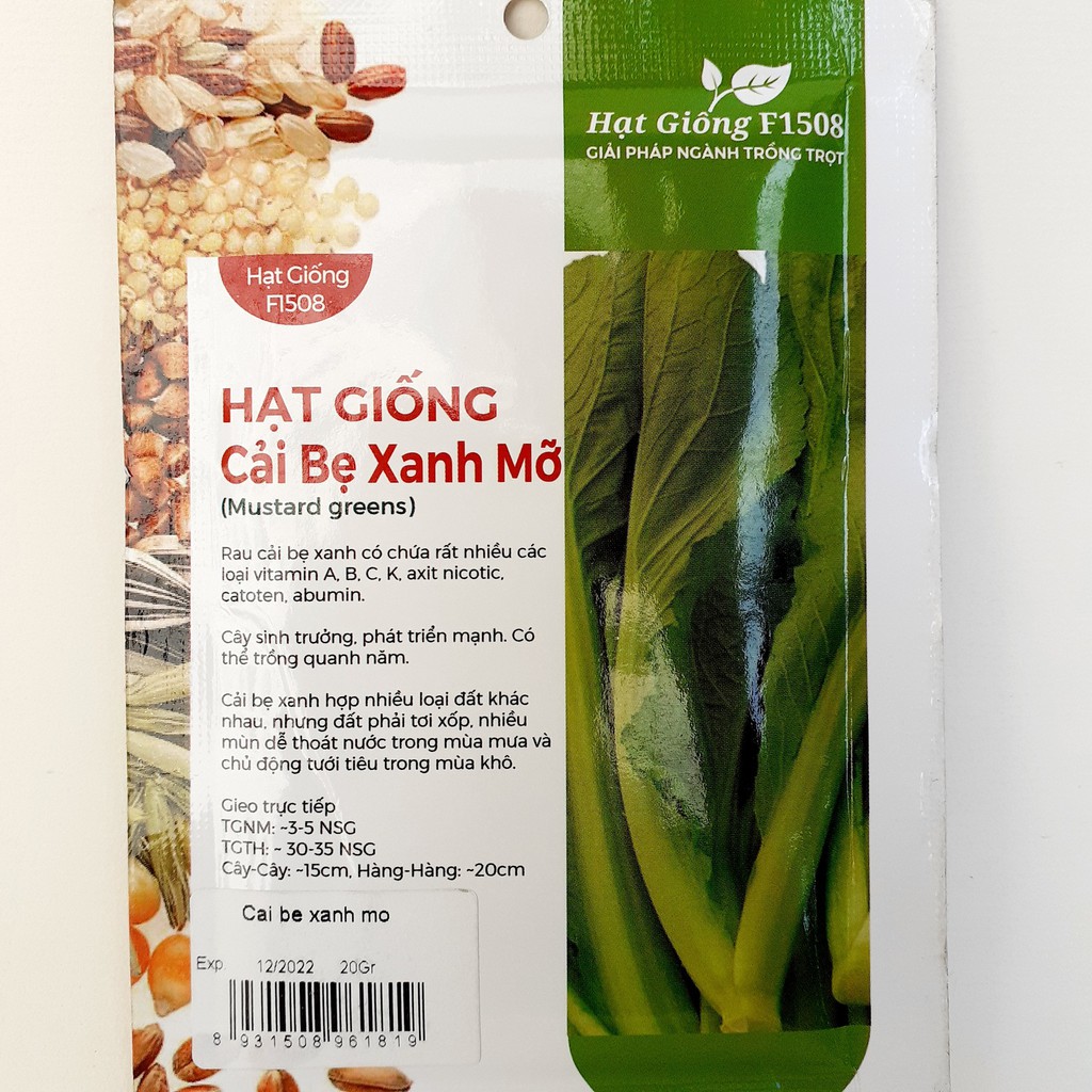 Hạt giống cải bẹ xanh mỡ