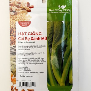 Hạt giống cải bẹ xanh mỡ