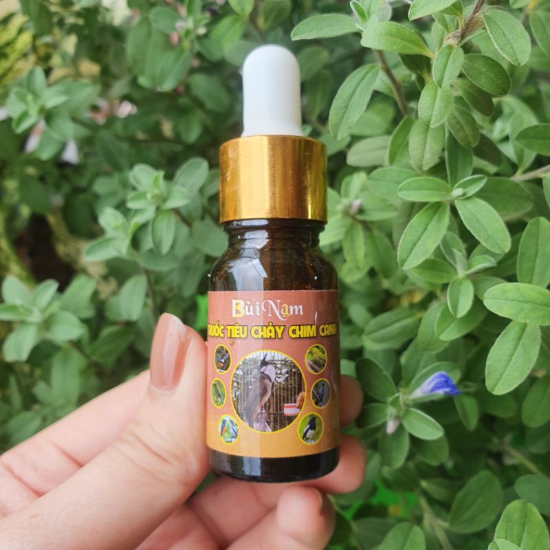 Nước ho, tiêu chảy, vitamin chim cảnh Bùi Nam