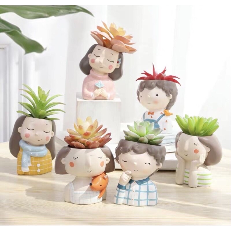 chậu cây trồng sen đá dễ thương