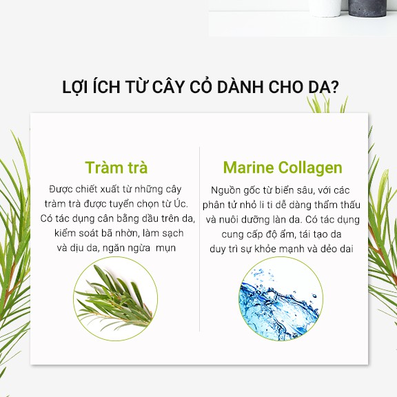 [Mã BMBAU50 giảm 7% đơn 99K] Mặt nạ Neogence N3 tinh chất tràm trà thanh lọc da- 25ml/ miếng