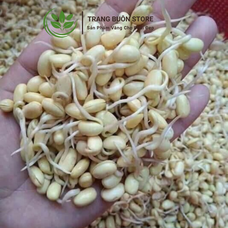 Mầm đậu nành tăng vòng 1 bột Hũ trắng 500gr mix vị đậu nành nguyên xơ MICAlATE MĐN01