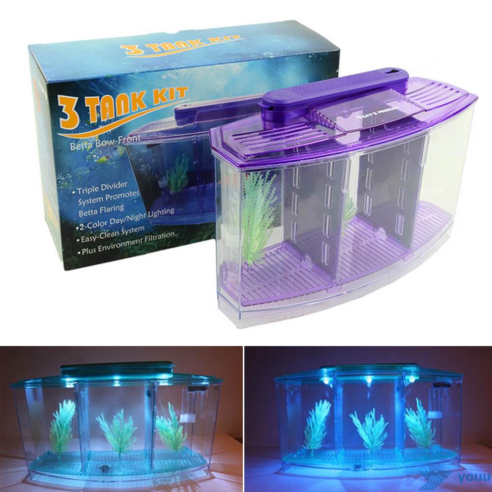 Bể cá cảnh nhỏ bằng acrylic trang trí bể cá