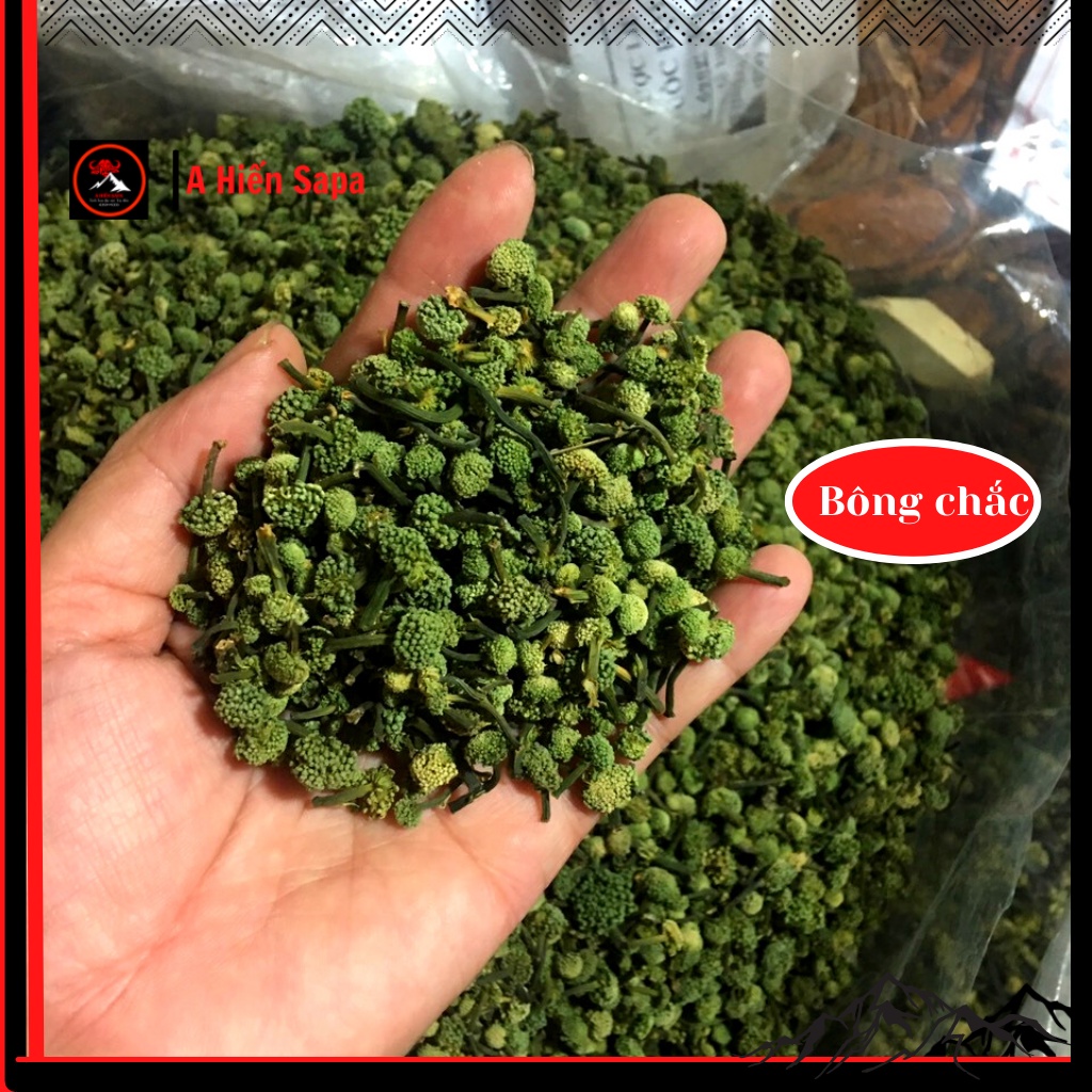 Nụ hoa tam thất Tây Bắc Sapa gói 500gr loại 1, hãm trà uống hằng ngày tốt cho sức khoẻ.