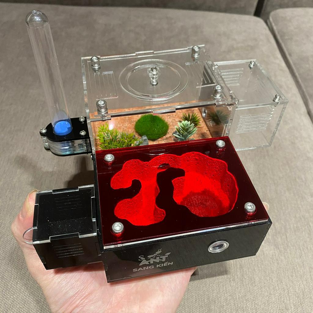 Tank Kiến , Ổ Kiến , Nhà Cho Kiến S05