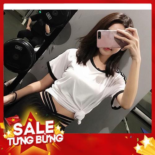 Áo thun phông ngắn thể thao nữ Triple (Đồ tập gym,yoga) - A1 KIT SPORT - HOT