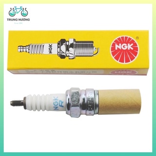 Bugi xe máy NKG, Denso