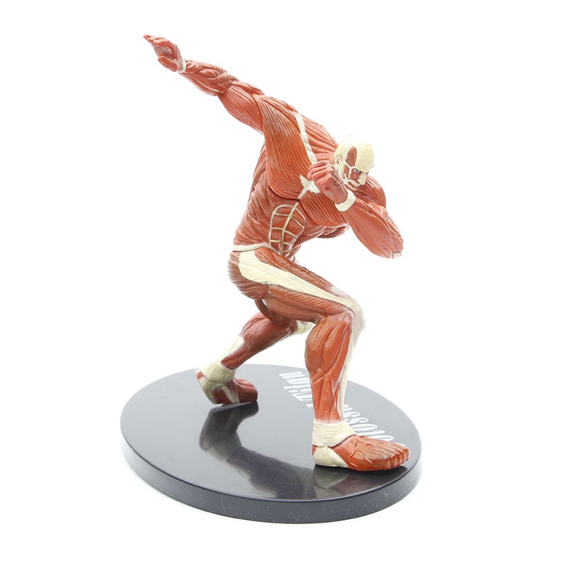 Mô Hình Titan Đại Hình - Attack On TiTan Cao 17cm
