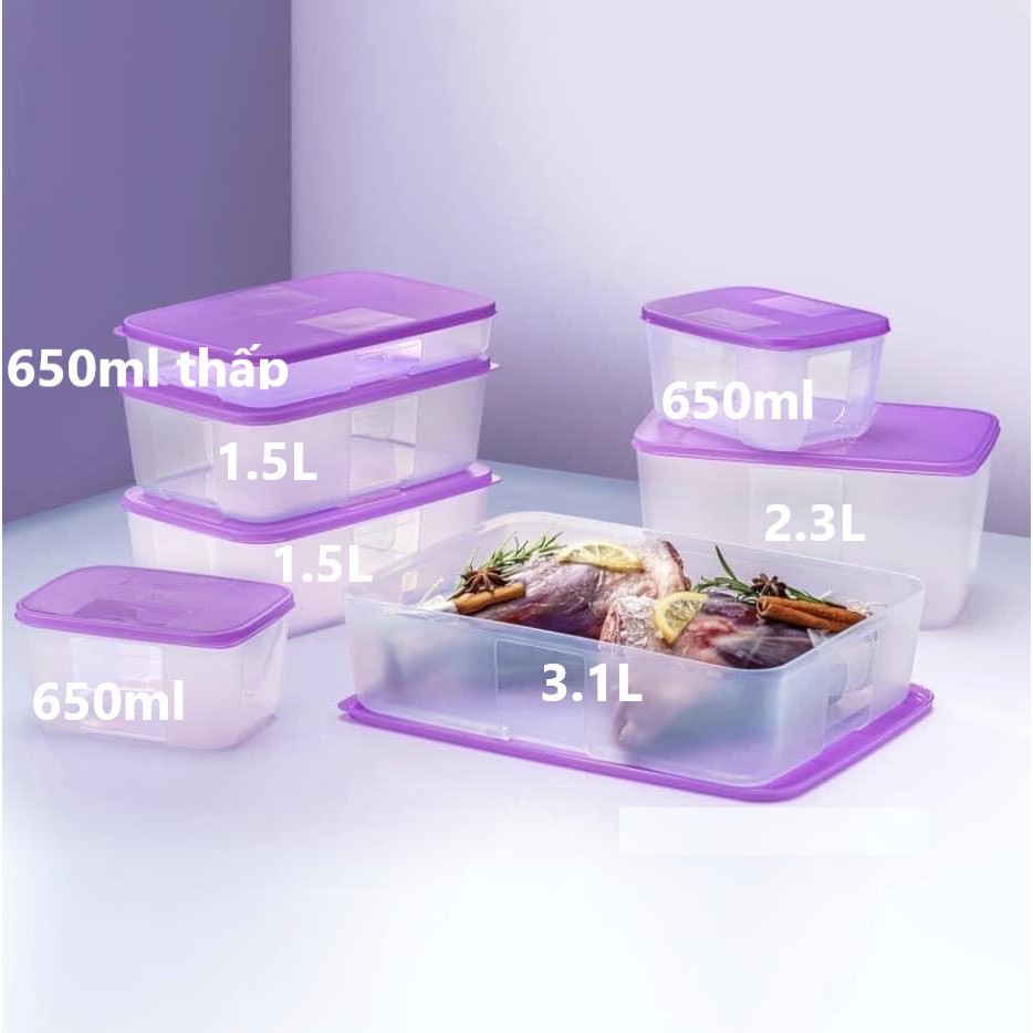 Tupperware ❤️Freeship❤️Bộ hộp bảo quản trữ đông Freezermate 8 hộp (1/2 bộ 16)