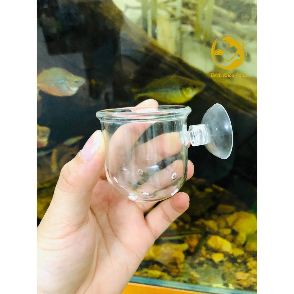 Cốc đựng giun cho cá ăn thủy tinh 4.5cm x 4.5cm