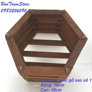 Chậu lục giác gỗ Sao chuyên dùng trồng phong lan số 1 rộng 18cm