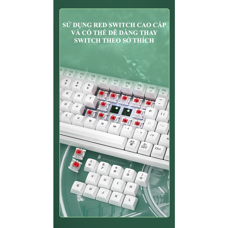 Bàn phím cơ LANGTU GK102 red switch  kết nối CÓ DÂY có đèn, màu sắc phối màu độc lạ