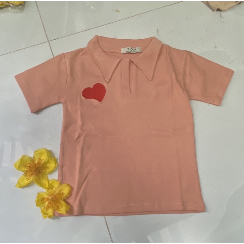 áo thun croptop có cổ thêu hình trái tim rất dễ thương