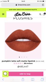 PUMPKIN LATTE SOFT MATTE LIPSTICK