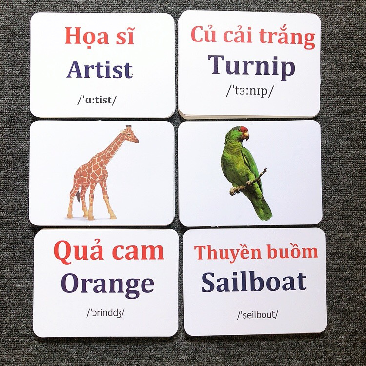 [QUÀ 0đ] Thẻ học thông minh cho bé, flashcards 16 chủ đề cho bé học song ngữ, loại chuẩn Glenn doman kích thước lớn