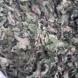 500gr lá mơm kìa 🌿 lá đắng tây bắc 🆓 freeship extra