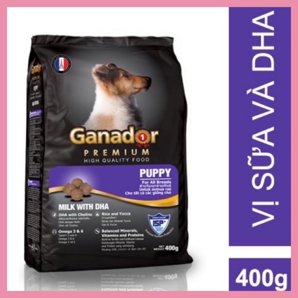 Hạt dinh dưỡng cho chó Ganador puppy vị sữa và DHA gói 400gr