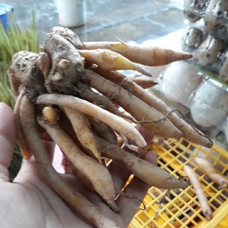 Ngải bún 100g