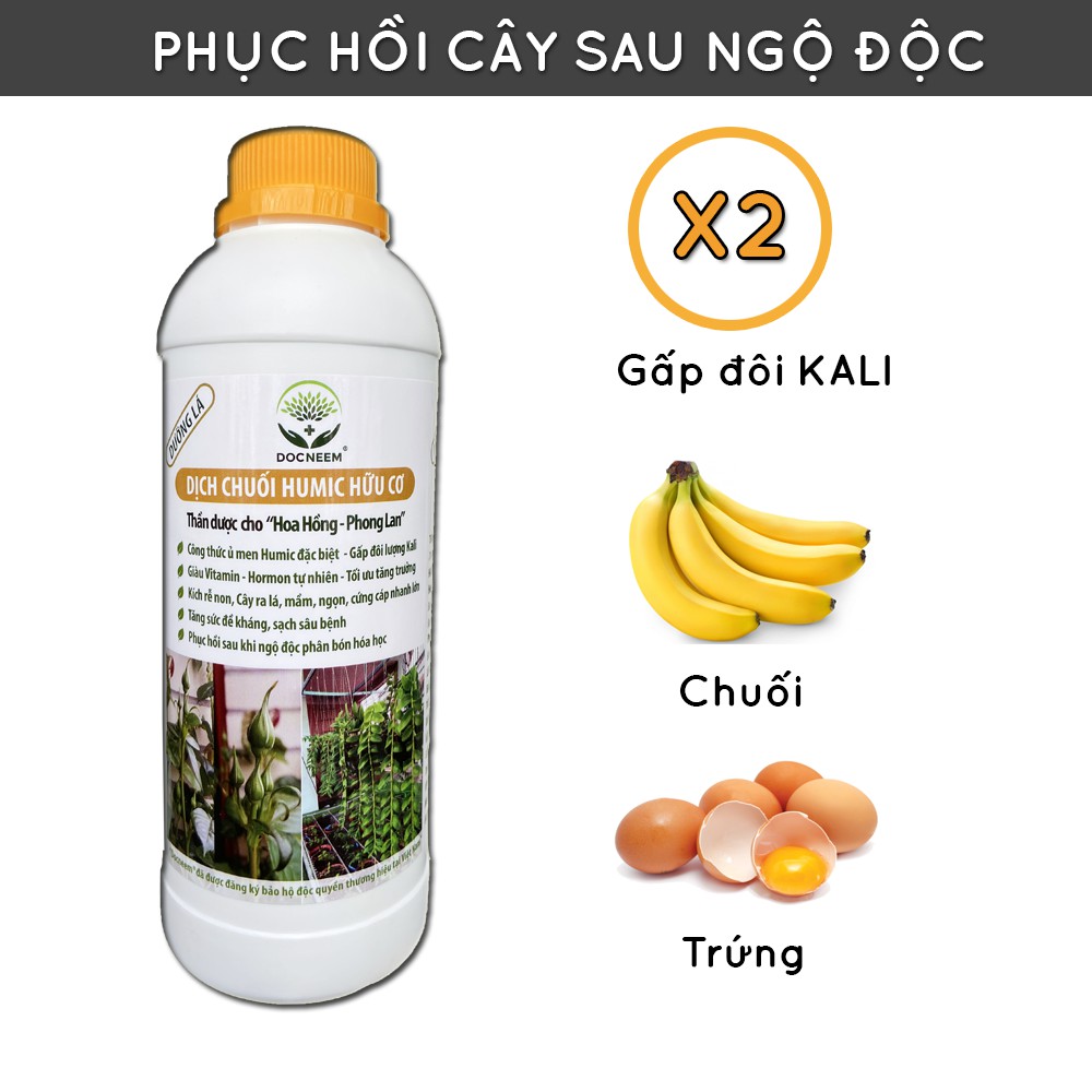 Phân bón dịch chuối DOCNEEM (chai 1 lít), bón lá, gốc, cho hoa lan, hoa hồng, cây cảnh, cây kiểng, trầu bà, monstera