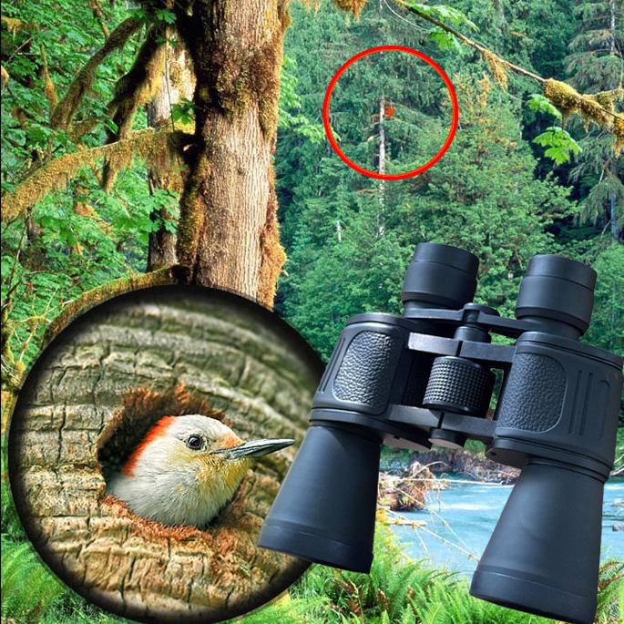 Ống Nhòm Chuyên Dụng Galileo Siêu Nét Tầm Nhìn Xa, Hàng Nhập Khẩu - Bảo Hành 12 Tháng | BigBuy360 - bigbuy360.vn