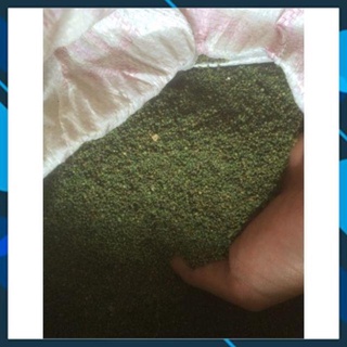 500g_1kg nụ bao tử dạng tấm