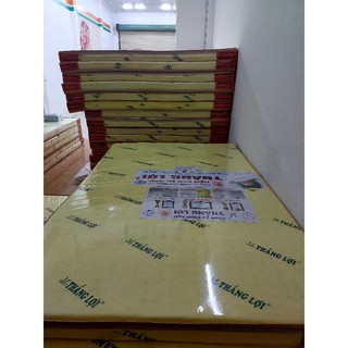 NỆM CAO SU THẮNG LỢI