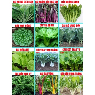 Hạt Giống Đồng Giá 8.9K- Đầy Đủ Rau Các Loại Rẻ Nhất Shopee