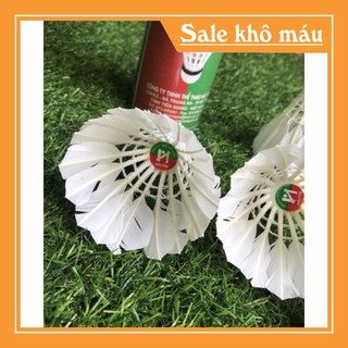 Quả cầu lông Hải Yến (1 hộp = 12 quả )