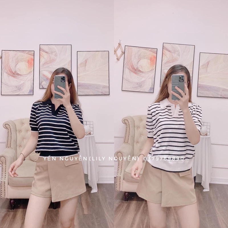 [ CÓ ẢNH THẬT + VIDEO TỰ QUAY ] Áo Phông Kẻ Ngang Cổ Sơ Mi Kẻ Ngang Dáng Ngắn Có 4 Màu Cực Xinh Nha | BigBuy360 - bigbuy360.vn