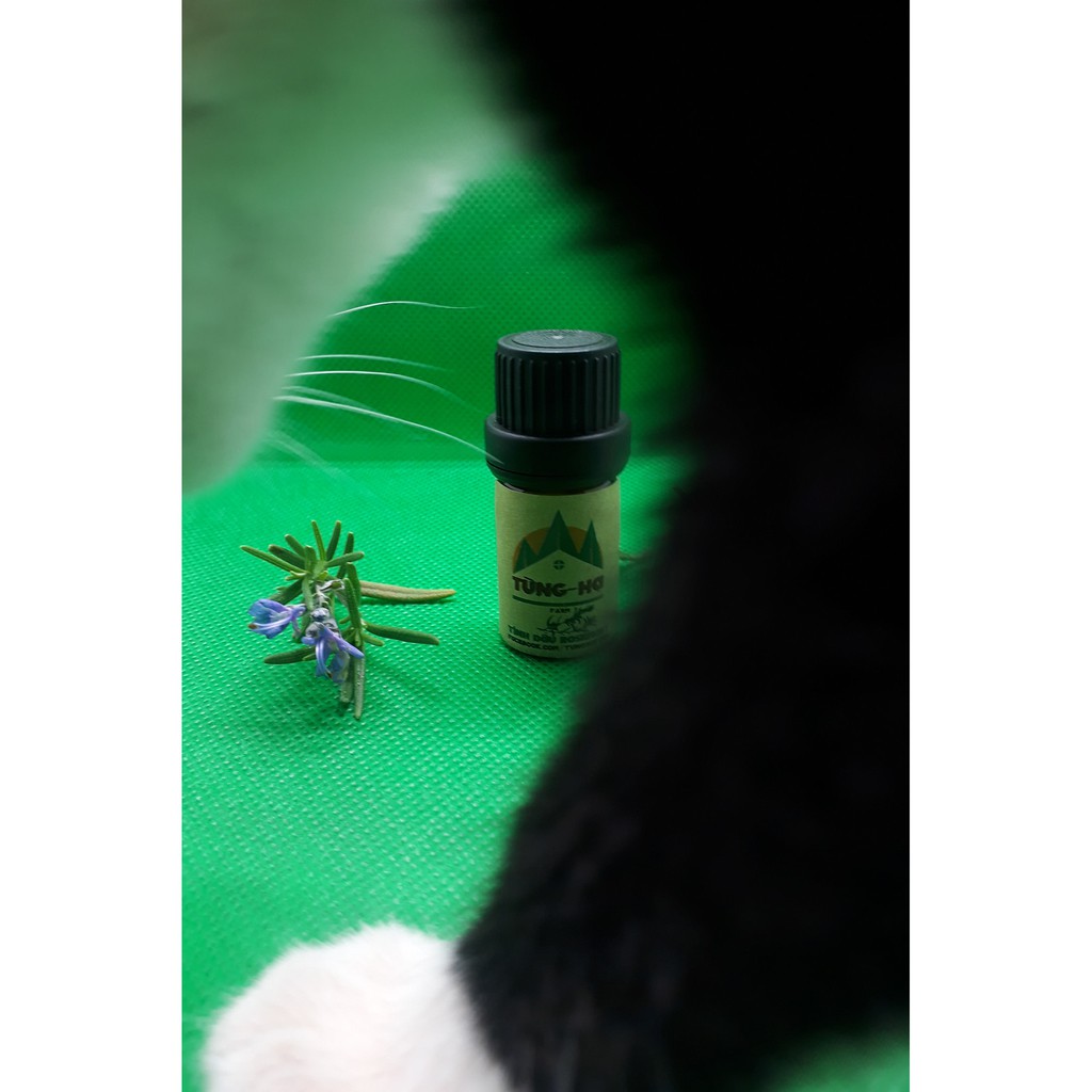 TINH DẦU 100% ORGANIC 10ml - Tùng Hạ Farm từ Đà Lạt giúp giảm căng thẳng mệt mỏi