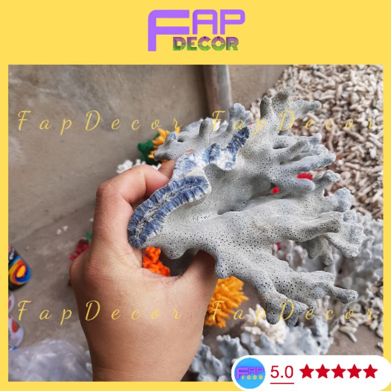 Bông Rạn Xanh Cao Cấp Hàng Hiếm Nhúng Nước Sẽ Lên Màu Siêu Đẹp Trang Trí Bể Cá, Thủy Sinh - FapFood