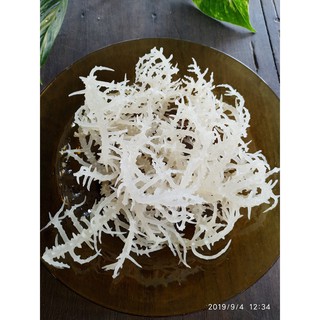 Rong sụn gai cực ngon giòn mập (2kg)