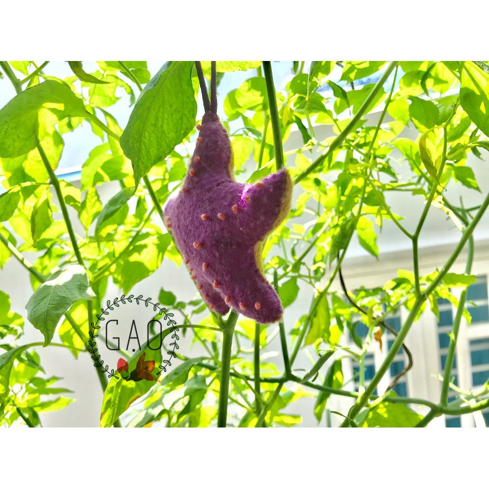 Móc khoá, treo nôi Sao biển - handmade siêu cute