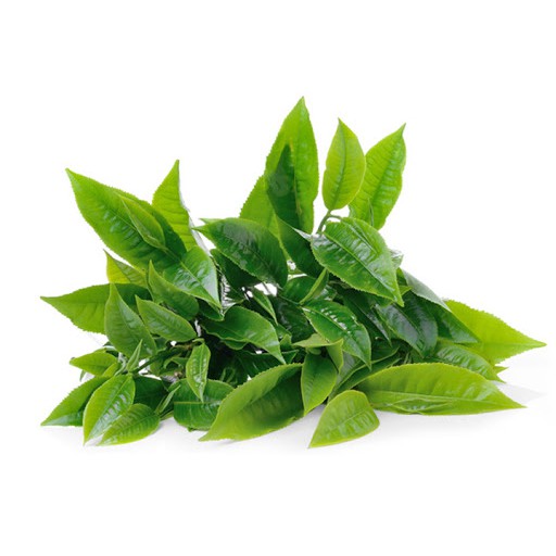 HƯƠNG TRÀ XANH - Hương liệu mỹ phẩm