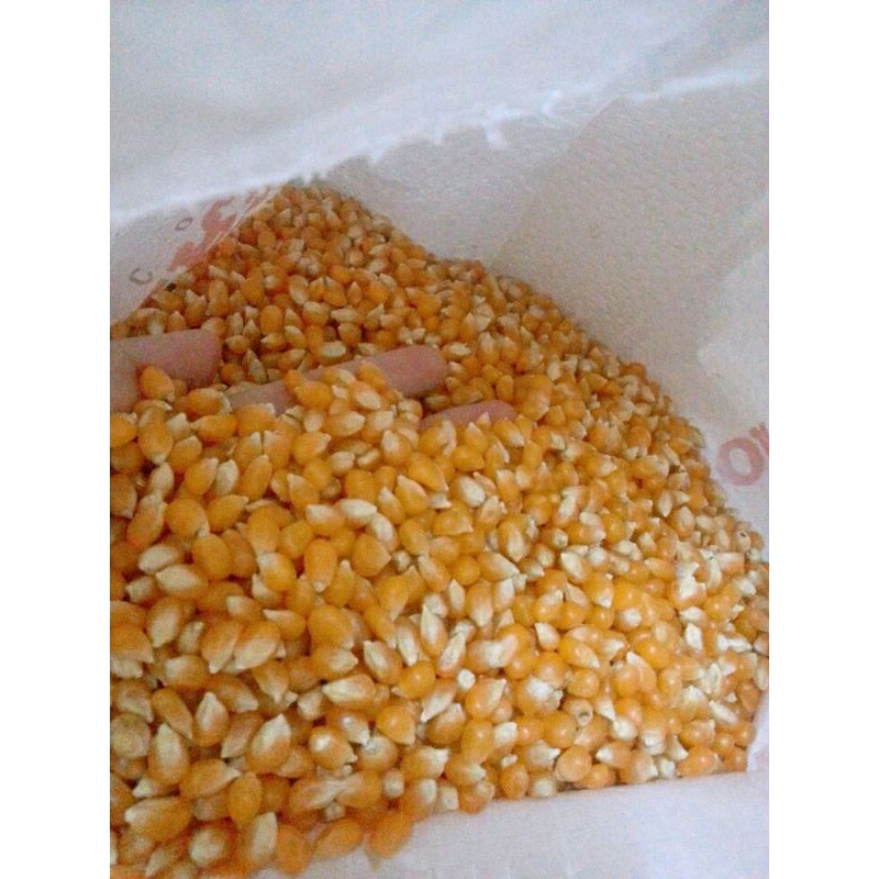 Bắp hạt làm bắp rang bơ