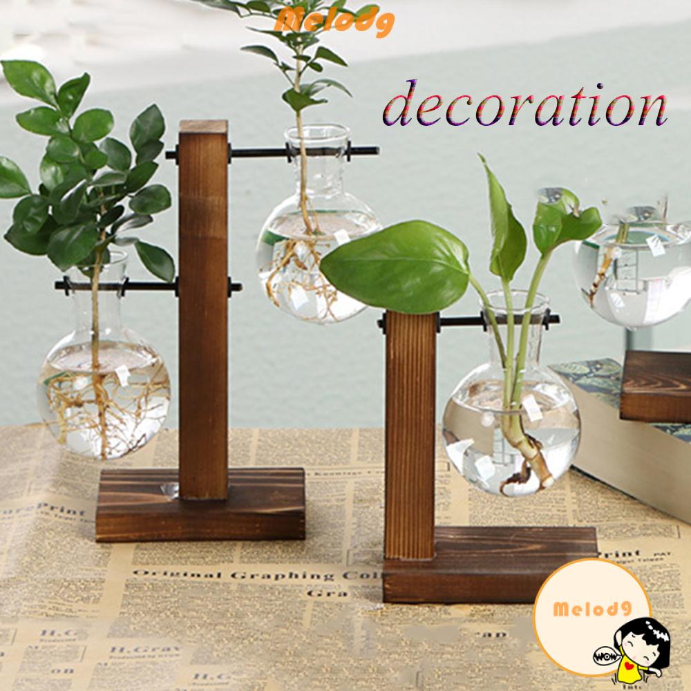 Chậu trồng cây thủy tinh kèm khung gỗ để bàn trang trí nhà cửa