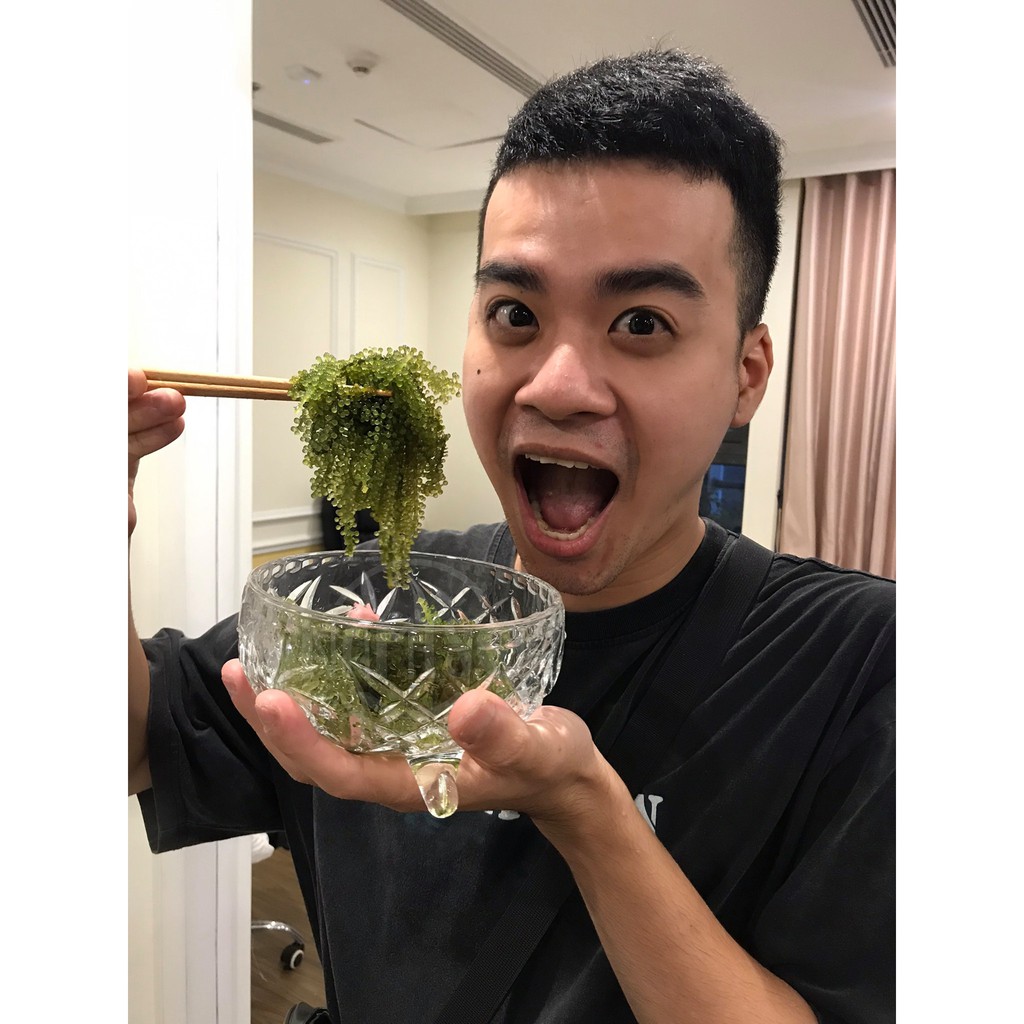 Nước sốt mè rang Kewpie chai 180ml | BigBuy360 - bigbuy360.vn