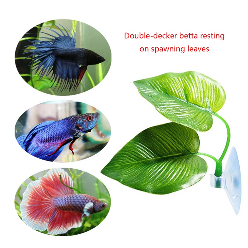 Abo betta bed double leaf pad hammock cho cá betta nhựa thân thiện với môi trường