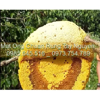 Miễn ship 02 Lít mật ong nguyên sáp, mật nguyên tổ chuẩn 100% rùng tự nhiên. Khoảng 3000gr