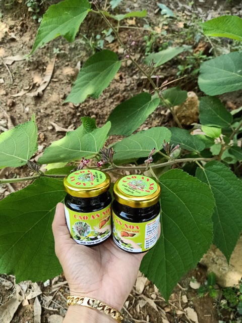 Cao an xoa  nấu 100% từ rễ an xoa ( nhà làm) | BigBuy360 - bigbuy360.vn