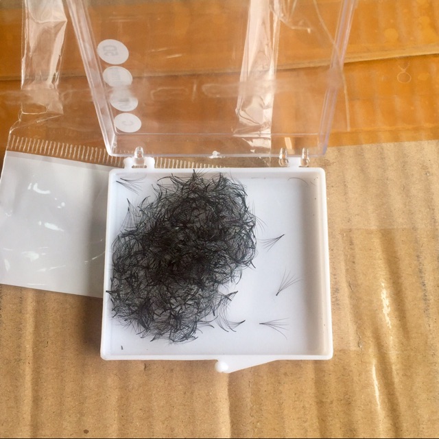 Mi fan 5D tự nhiên