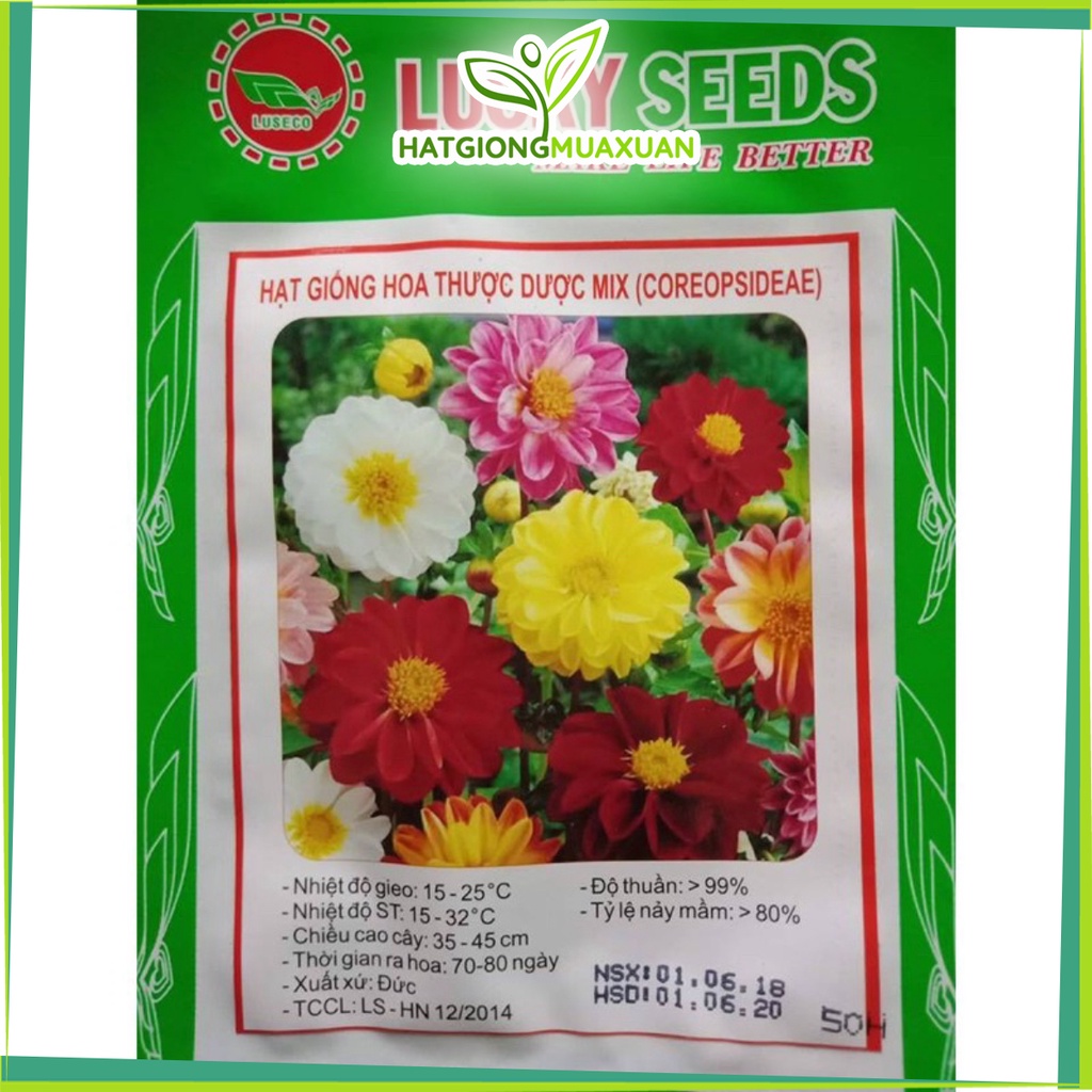 Bán buôn Hạt giống hoa thược dược mix nhiều màu bao đẹp