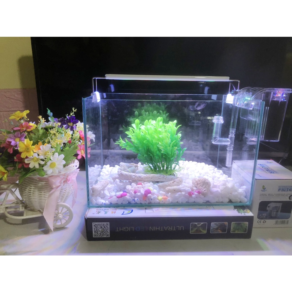 Hồ cá, bể cá cảnh thủy sinh FULL COMBO 6 món phụ kiện D32 R20 H20