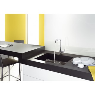Vòi bếp Focus Hansgrohe 31820000
