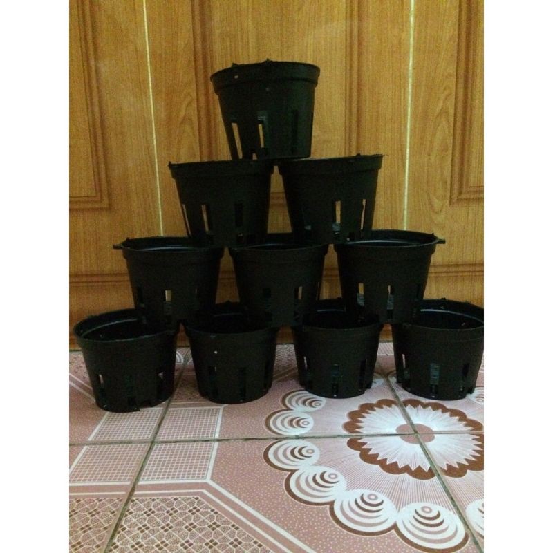 100 Chậu trồng lan đen F14