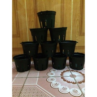 100 chậu trồng lan đen f14