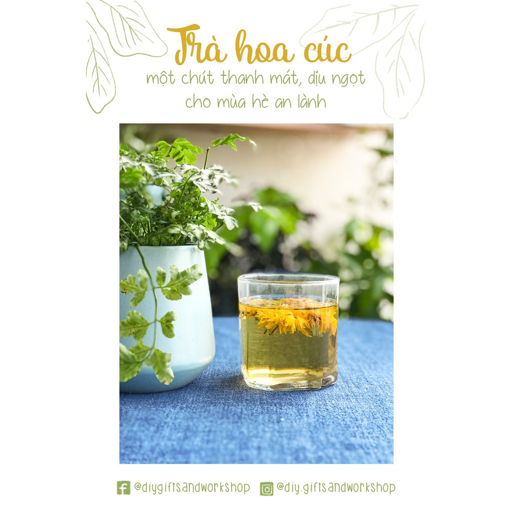 QUÀ TẶNG TRÀ THẢO MỘC HOA HỒNG, HOA CÚC, CỎ NGỌT