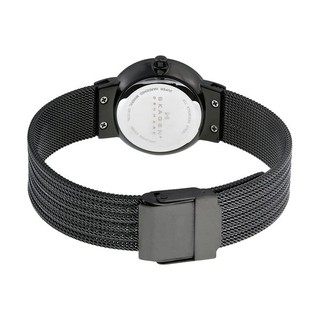 Đồng hồ nữ Skagen 355SMM1