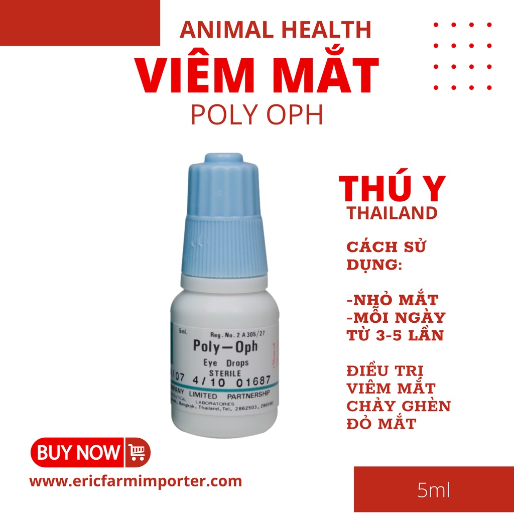 Nhỏ Mắt Viêm Mắt Đỏ Mắt Chảy Ghèn Made in ThaiLand 5ml 🐶 FREE SHIP 🐶 Hỗ trợ sử dụng cho Chó Mèo Thỏ Bọ Chinchilla Sóc